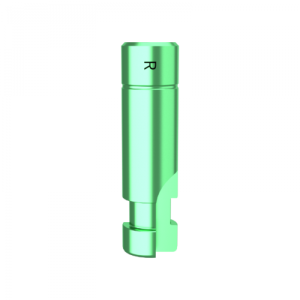 DMR طبق الاصل